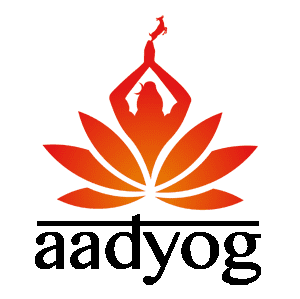 aadyogstore